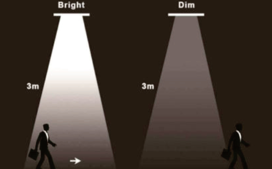 Amenities and Features